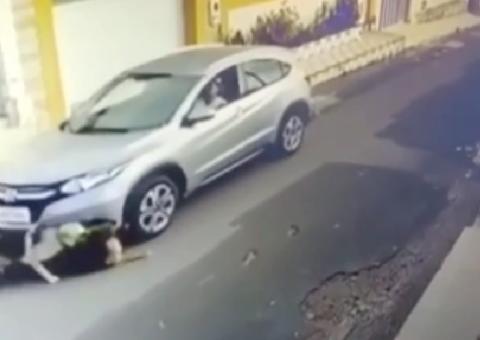 Vídeo flagra motorista atropelando cruelmente cachorros em rua no Maranhão