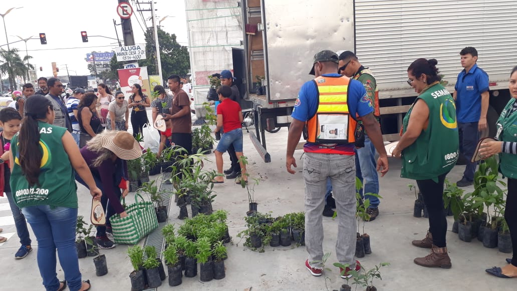 Pedágio ambiental distribui mudas frutíferas, ornamentais e medicinais em bairro de Manaus