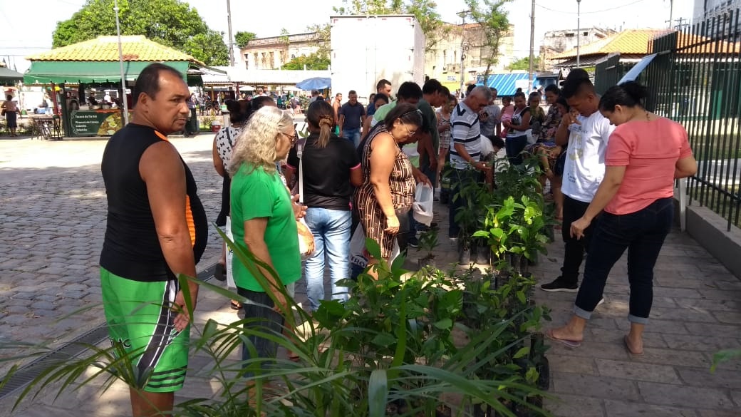 Pedágio Ambiental vai distribuir 600 mudas de várias espécies nesta quarta