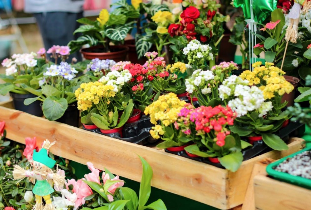 Feira da FAS abre inscrições para expositores