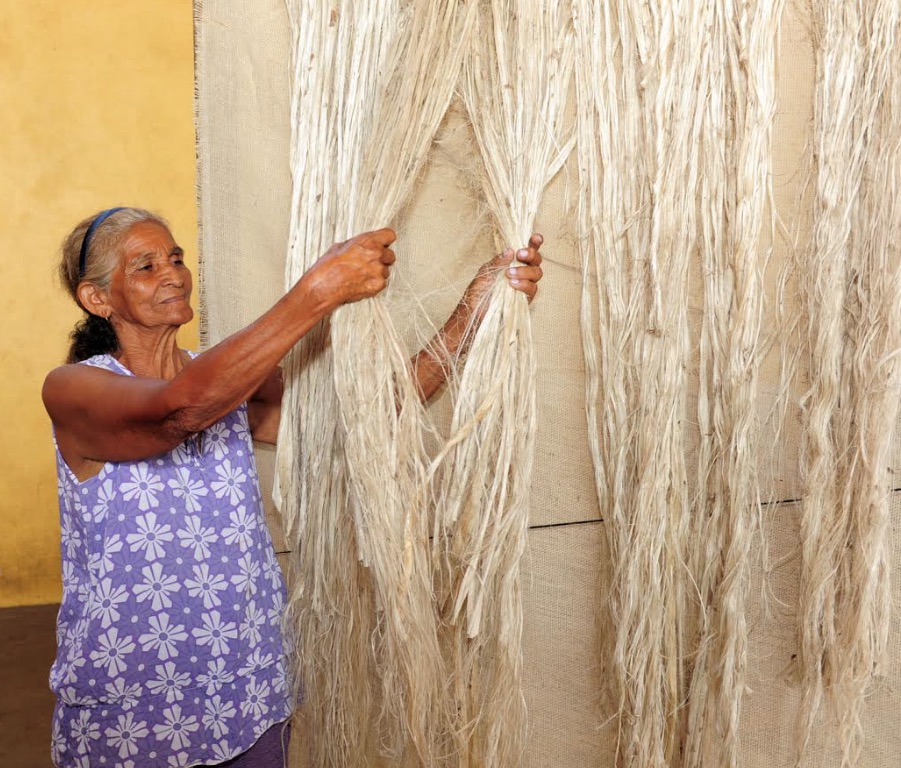 Agência libera mais de R$ 700 mil para pagamento de produtores de malva e juta no Amazonas
