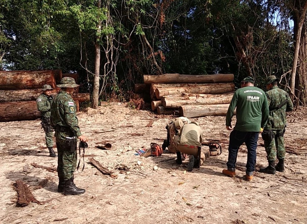 Combate ao desmatamento soma mais de R$ 9 milhões em multas no Amazonas
