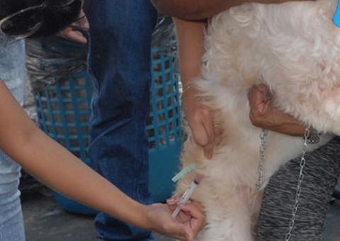 Semsa divulga lista de aprovados em PSS para contratação de vacinadores/registradores