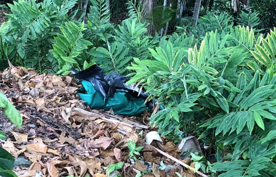 Enrolado em lençol, corpo de homem é encontrado em matagal de Manaus