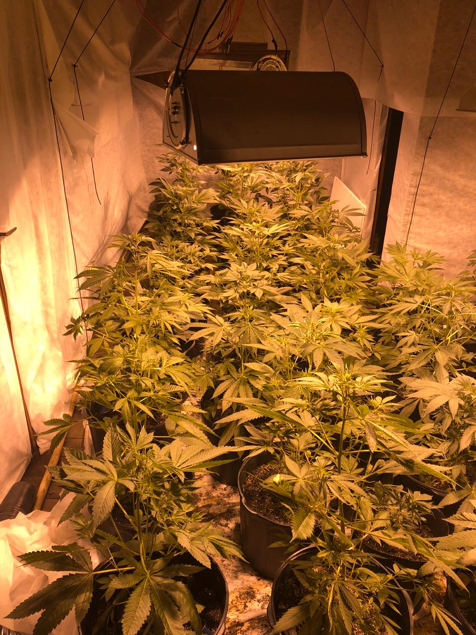 Criminosos estão usando locais alugados para despistar polícia, alerta SSP