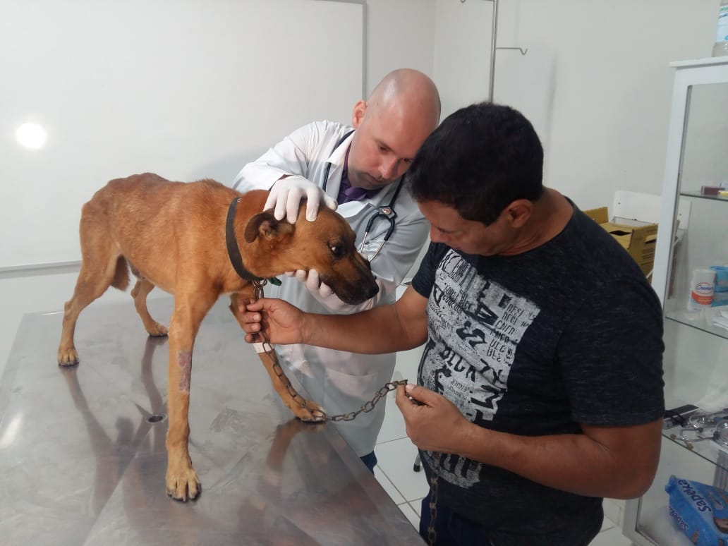 Novembro Azul Pet promove ação com triagem e exames gratuitos em Manaus
