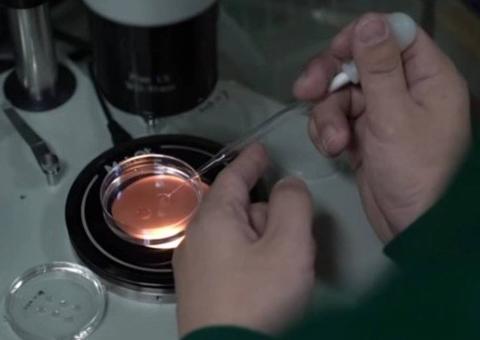 Pesquisador diz ter criado os primeiros seres humanos geneticamente editados