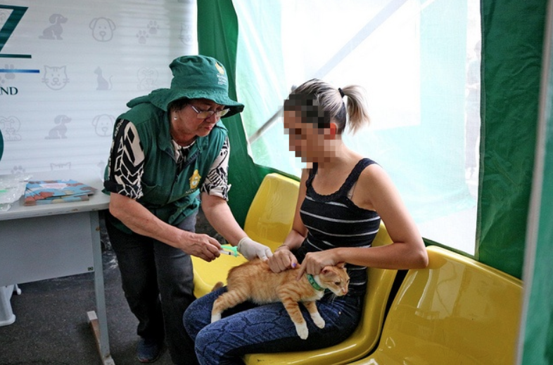 Campanha antirrábica vai imunizar 234 mil animais em Manaus