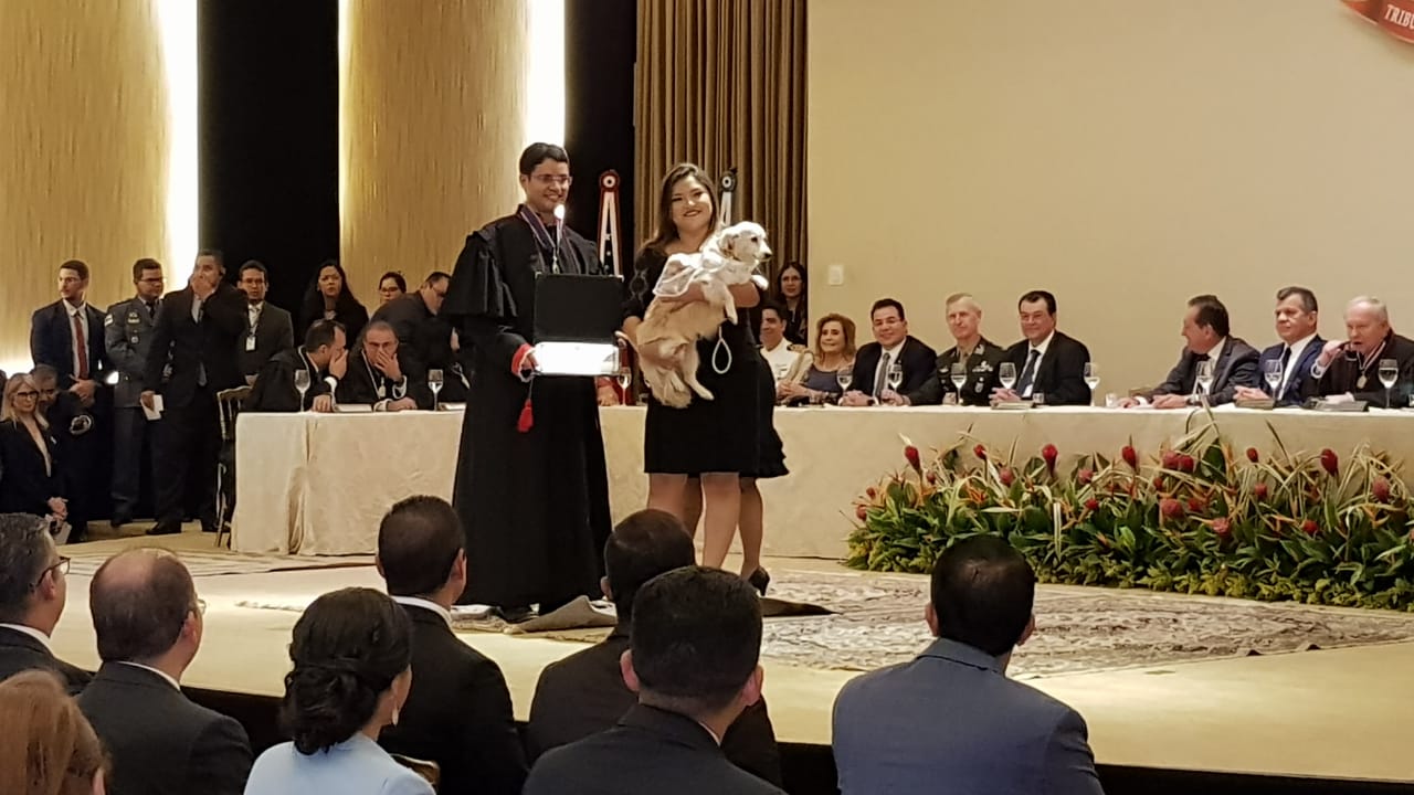 Deputada eleita recebe diploma com cadela no colo e surpreende público