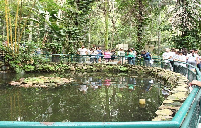 Bosque da Ciência reabre em Manaus após recesso 