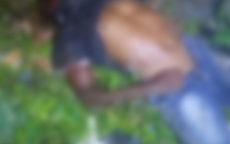 Com cabeça esmagada, homem é encontrado em terreno de casa abandonada em Manaus