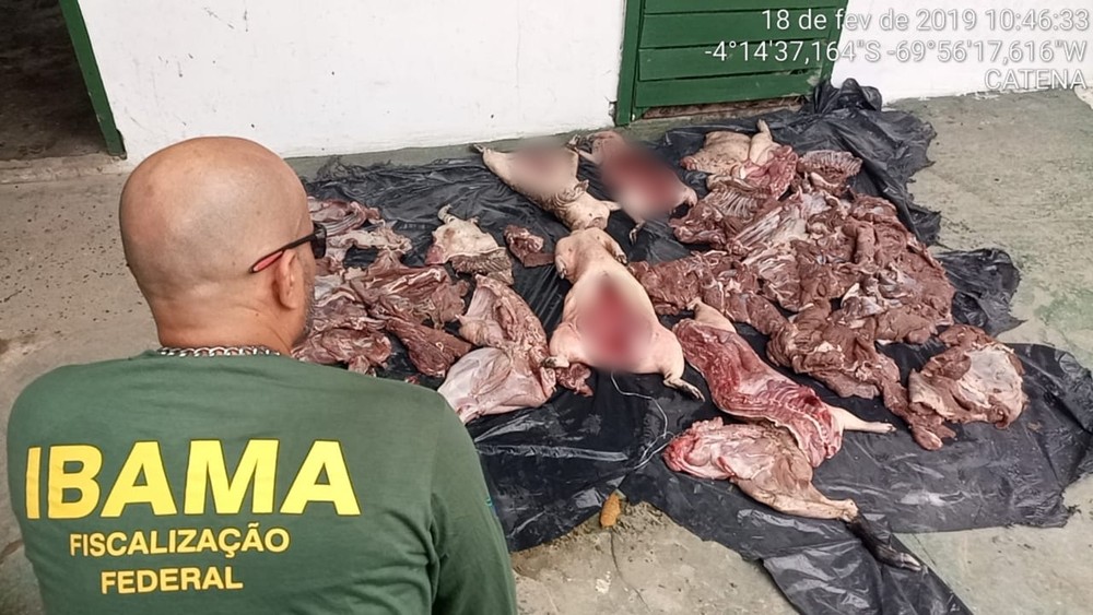 Ibama apreende mais de 18 toneladas de carne e pescado ilegal no Amazonas