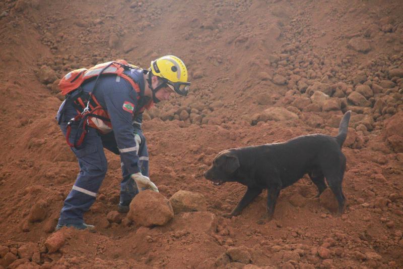 Tragédia em Brumadinho completa um mês com 134 desaparecidos