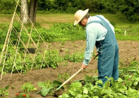 Com reforma da Previdência, trabalhador rural não poderá se aposentar por idade sem nunca ter contribuído