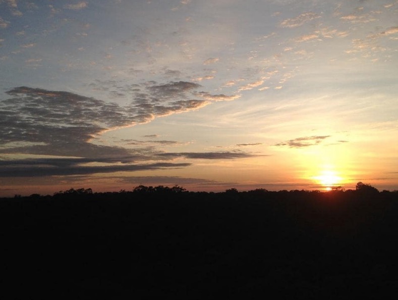 Dia Internacional da Mulher terá trilha guiada especial e desconto no Museu da Amazônia