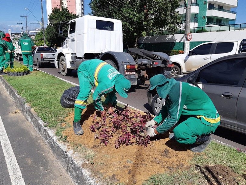 Canteiro central de avenida ganha mais jardins em Manaus 