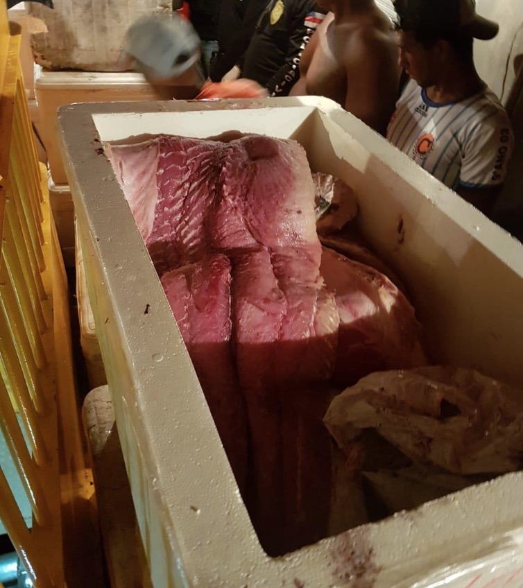 Uma tonelada de pescado e carne de animal silvestre é apreendida no Porto de Manaus