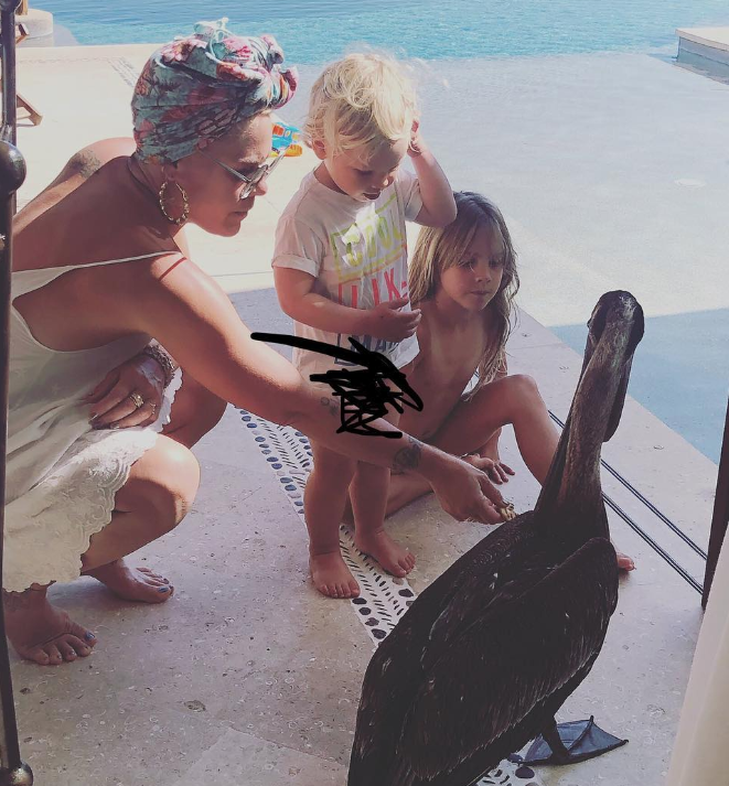 Internautas criticam Pink por circuncidar filho de 2 anos 