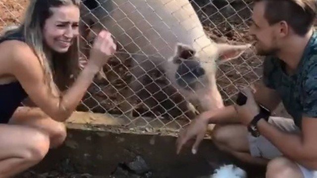 Após sair do BBB, Paula Sperling é rejeitada por porca de estimação