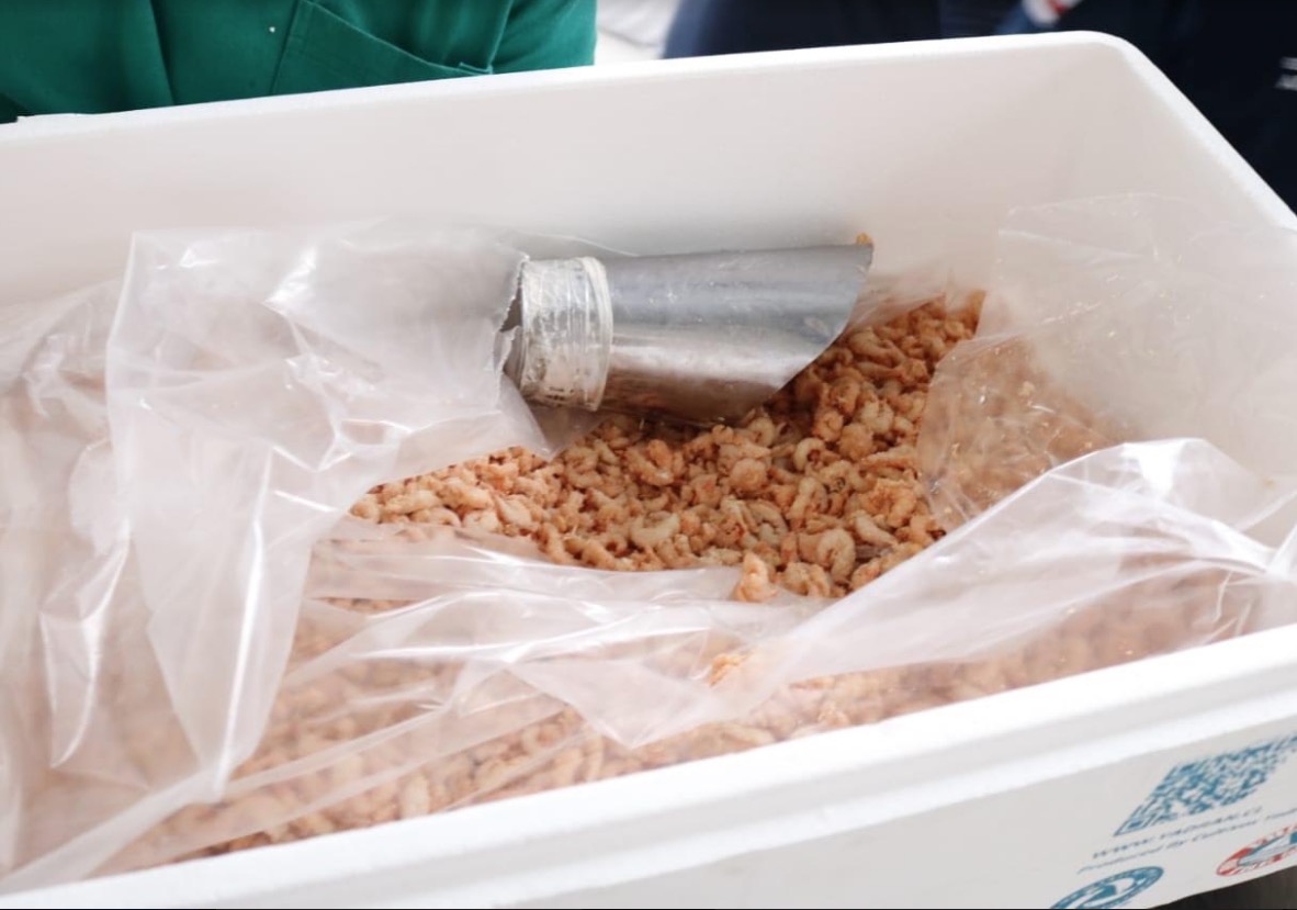 Adaf certifica primeiro entreposto de pescado para beneficiamento de camarão no Amazonas