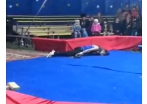 Vídeo mostra artista de circo sendo atacado por cobra durante apresentação 