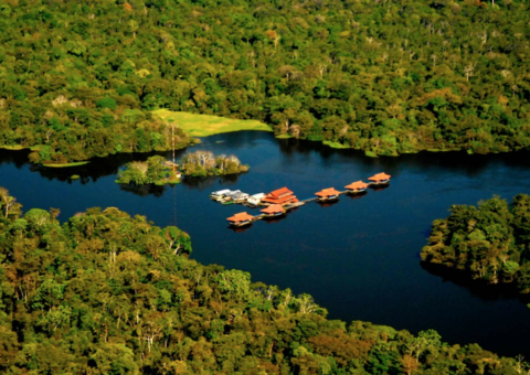 Instituto Mamirauá tem homenagem no Senado na segunda-feira