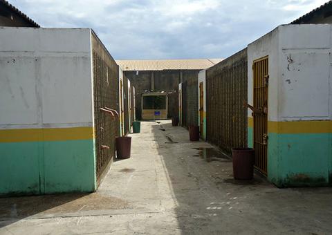 Carmén Lúcia nega habeas corpus coletivo para transexuais adolescentes