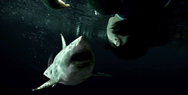 Tubarões atacam no trailer de Medo Profundo 2