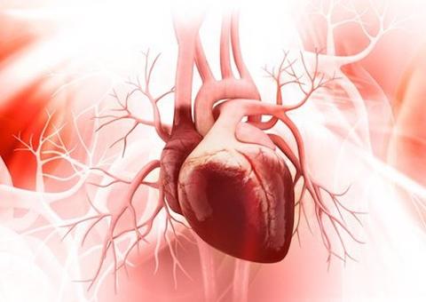 Justiça autoriza isenção do IRPF e manda União devolver valores a cardiopata