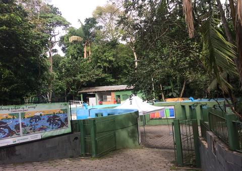 Inpa lança novo volume de estudos estratégicos sobre Amazônia