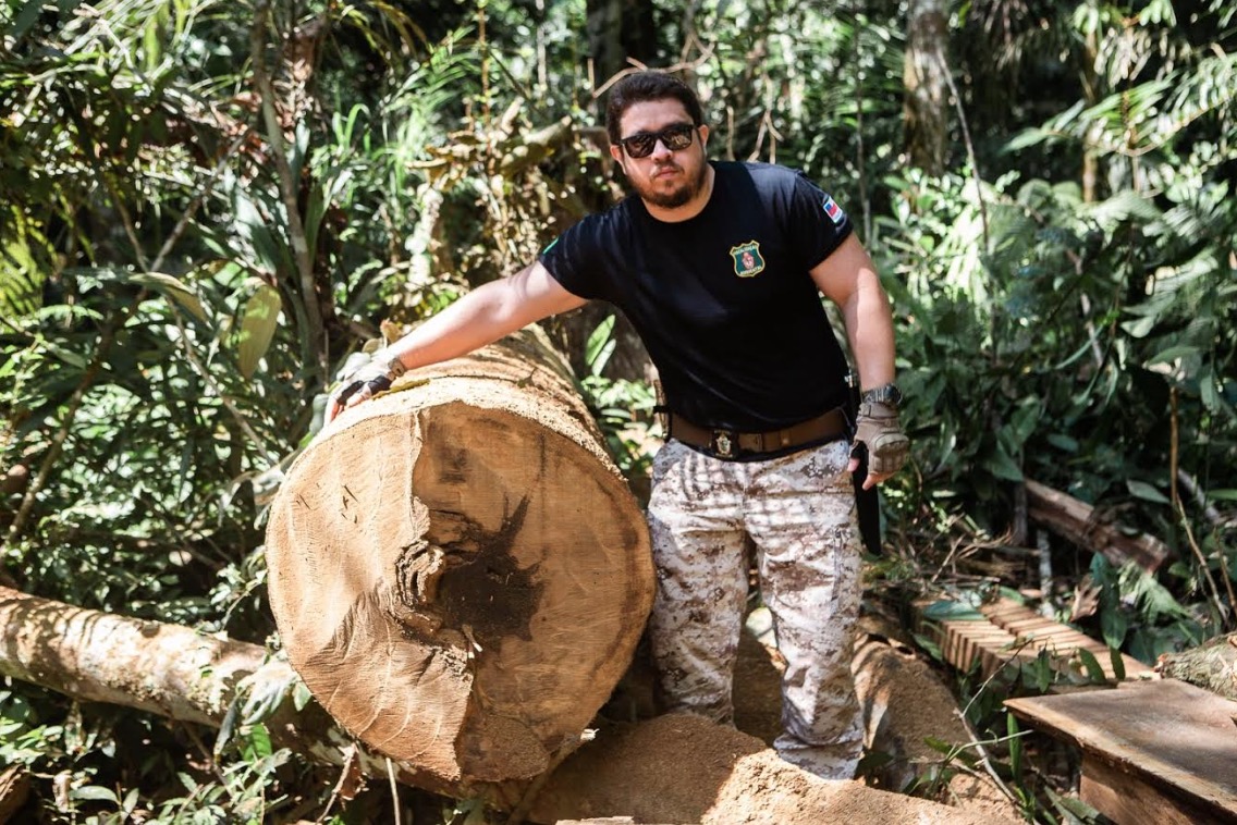 Operação flagra desmatamento e extração ilegal de madeira em reserva de Manaus 