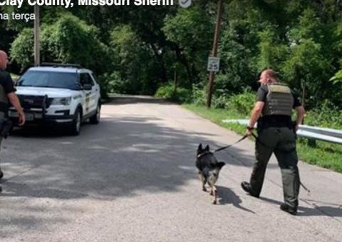 Suspeito é encontrado pela polícia após soltar gases