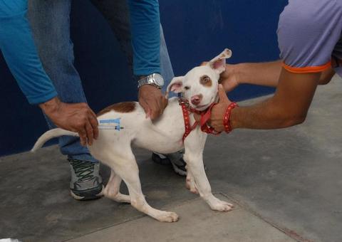 Processo seletivo oferta 250 vagas para vacinadores e registradores, em Manaus