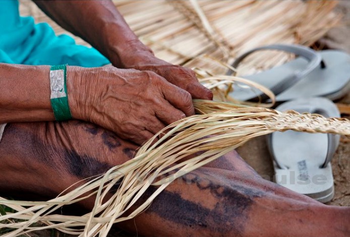 Fuam e FEI fecham parceria para tratar hanseníase e DSTs em indígenas no Amazonas