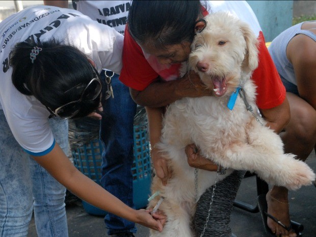 Inscrições em processo seletivo com 250 vagas, terminam na próxima sexta-feira em Manaus