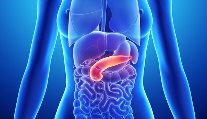 Diabetes e obesidade aumentam os riscos de câncer de pâncreas     