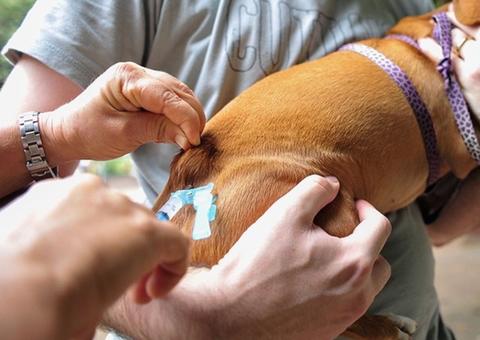 Em Manaus, processo seletivo teve quase 2,5 mil inscrições finalizadas