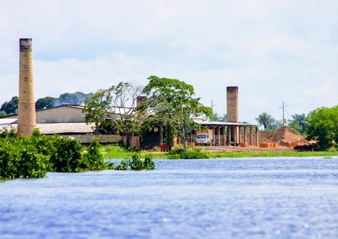 Indústria oleira do Amazonas vai cobrar ressarcimento por falta de energia