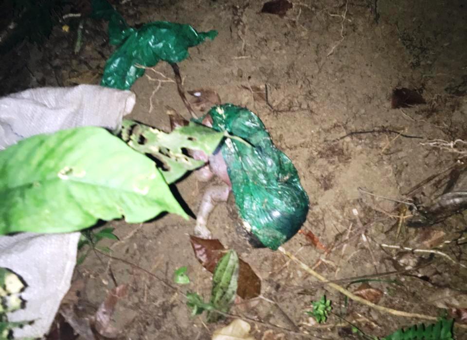 Bebê é encontrado dentro de sacola em área de mata no Amazonas 