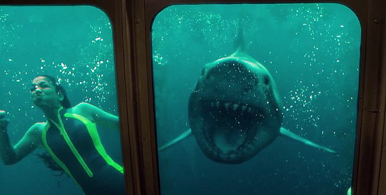 Tubarões atacam no novo trailer de Medo Profundo 2; vem ver