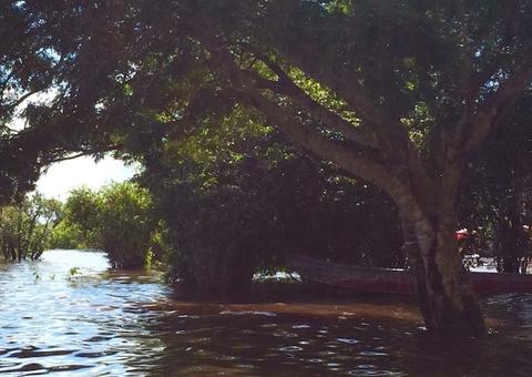 Laboratório para medir floresta é inaugurado pela Ufam nesta quinta