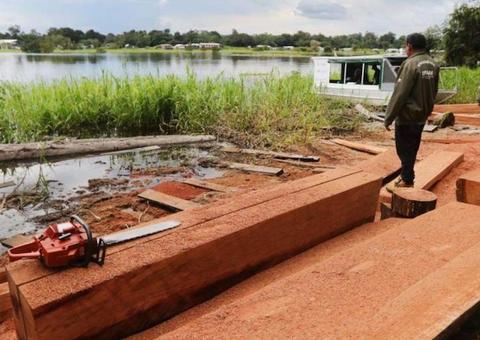 Entidades filantrópicas ganham material apreendido em crimes ambientais