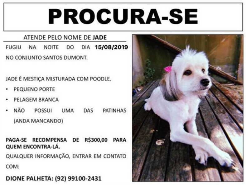 Família oferece recompensa por cachorro perdido em Manaus