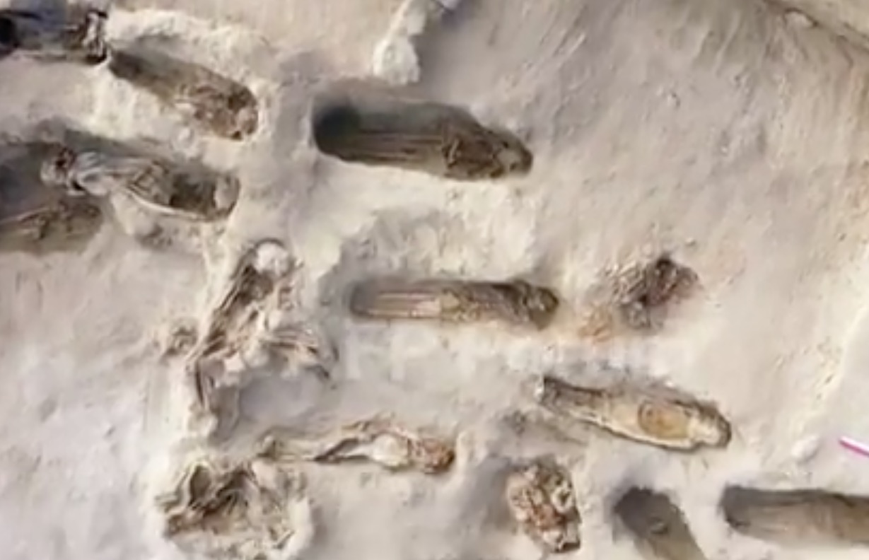 Arqueólogos encontram mais de 220 corpos de crianças sacrificadas no Peru 