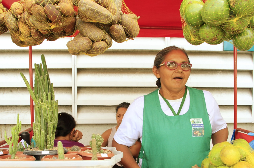Prefeitura realiza chamadas públicas para aquisição de produtos de agricultura familiar
