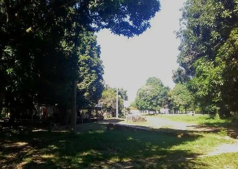 Arrecadação do ITR no Amazonas tem potencial para aumentar 5 vezes