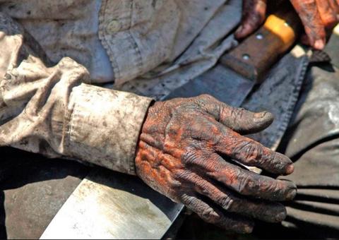 Trabalho escravo: fiscalização resgata 59 trabalhadores