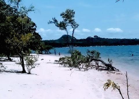 Matriz sustentável é defendida por secretário do Meio Ambiente do Amazonas