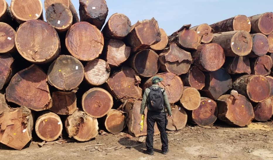 Serraria é multada em R$ 2,6 milhões durante operação no Amazonas