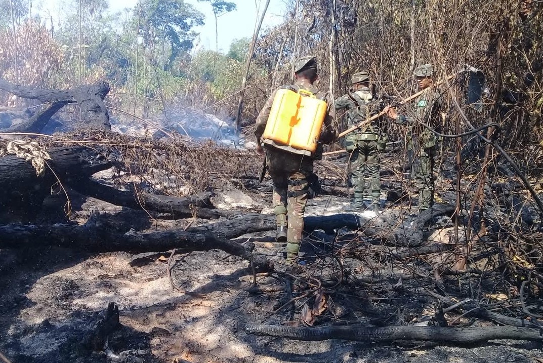 Ações de combate a queimadas no Amazonas são intensificadas no feriado 